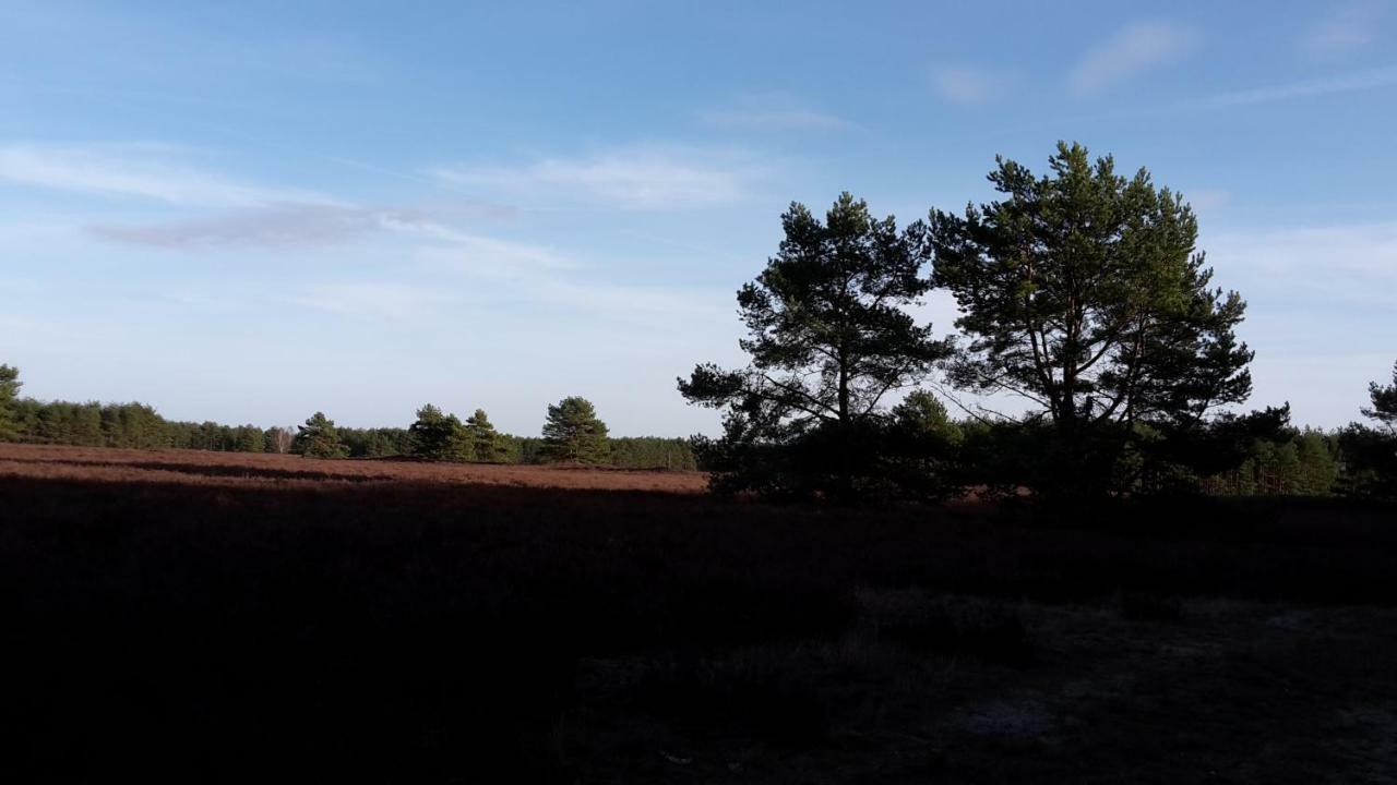 Ferienhaeuser Pannier I Und Oder II Gartow Esterno foto